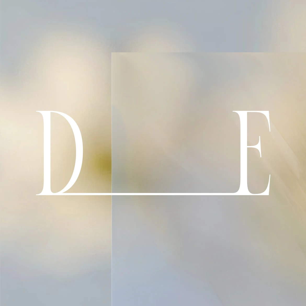 Image fullscreen